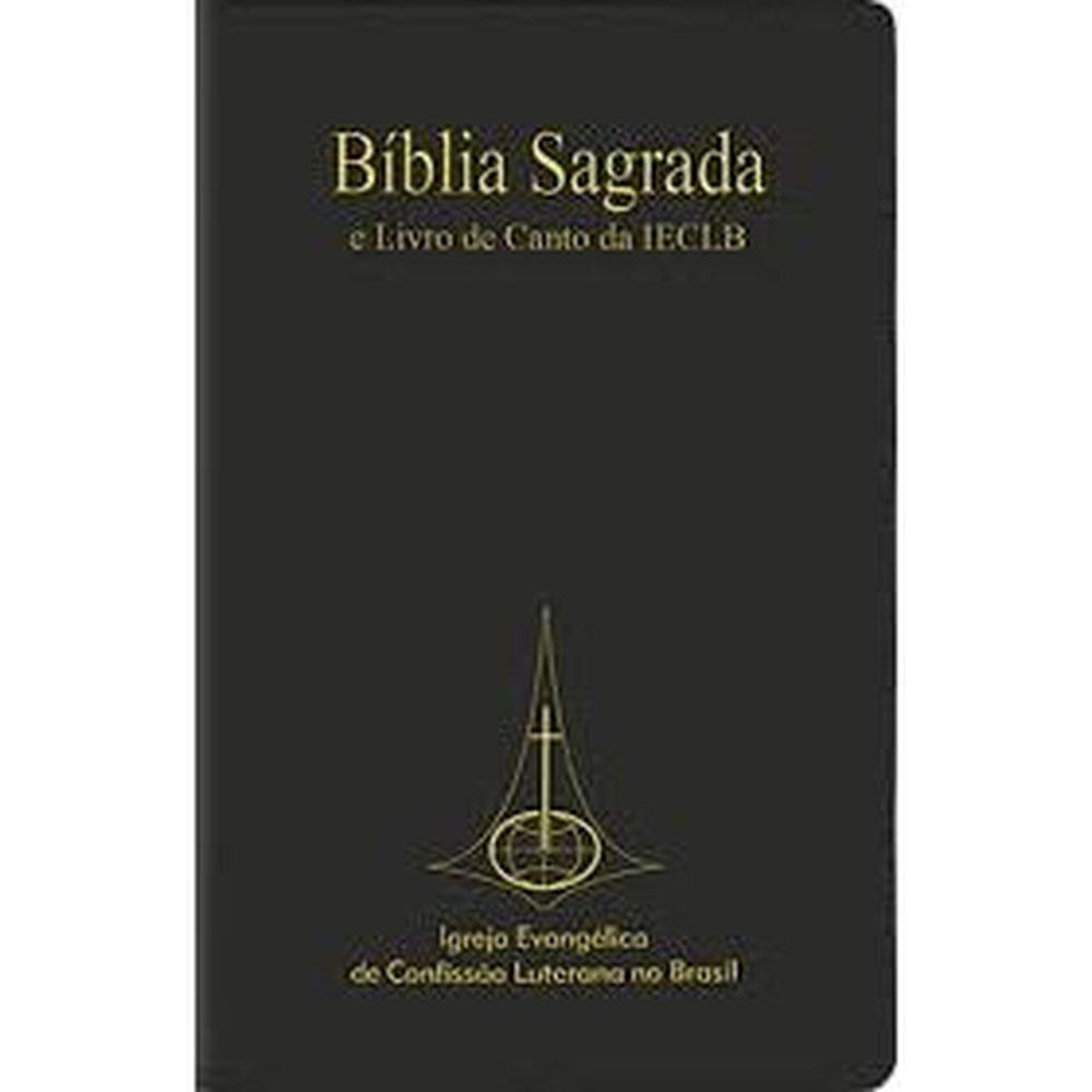 Livro Bíblia Sagrada E Livro De Canto Da Ieclb Ntlh Submarino