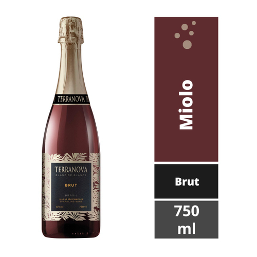 Espumante Miolo Terranova Brut 750ml em Promoção Ofertas na Americanas