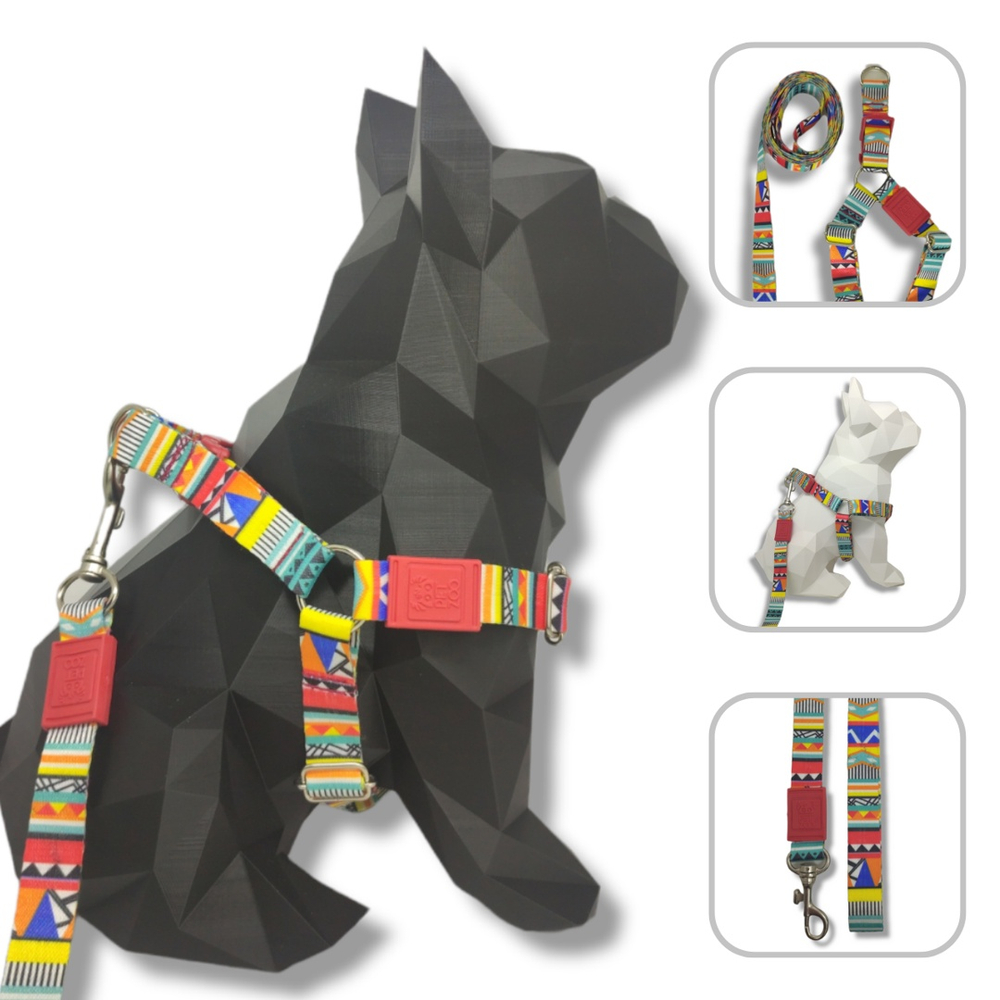 Conjunto Peitoral E Guia Para Cachorro Modelo Afrika Submarino