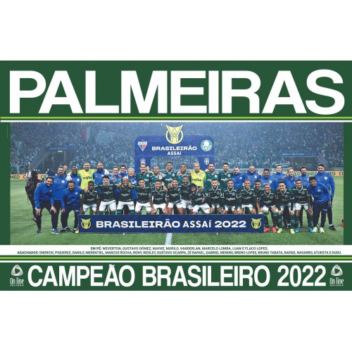 Poster Palmeiras Hendeca Campe O Brasleiro Submarino