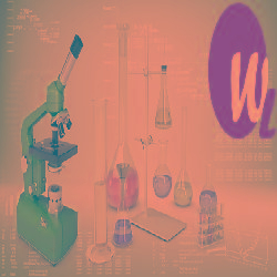 World Lab´s