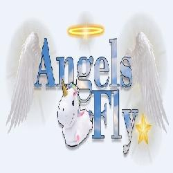 Loja Angels Fly