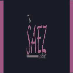 T W Saez Comercio