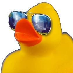 Duck Piscinas