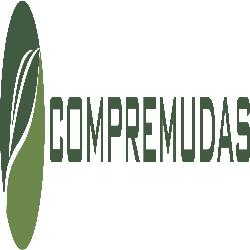 Ocotea do Brasil