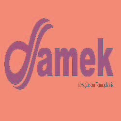 Damek Inovação em Termoplastia