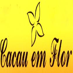 CACAU EM FLOR