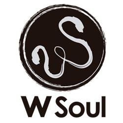 WSoul Acessórios