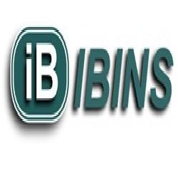 ÍBINS