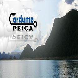 Cardume Pesca
