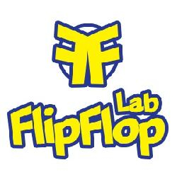 Flipflop Lab