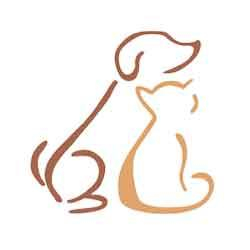 Pet Fashion