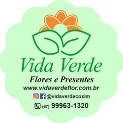 VIDA VERDE FLORES E PRESENTES