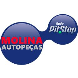 AUTO PEÇAS MOLINA