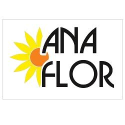 Ana Flor
