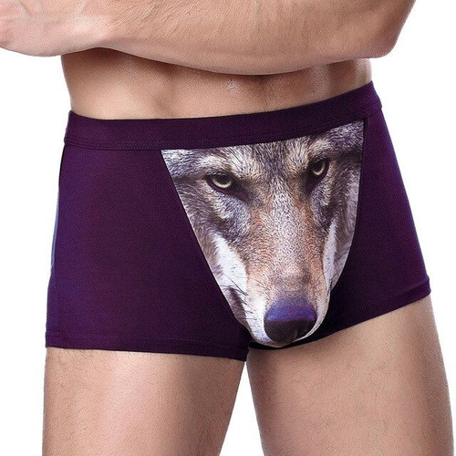 boxers de lobo