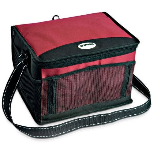 cooler bolsa cheap