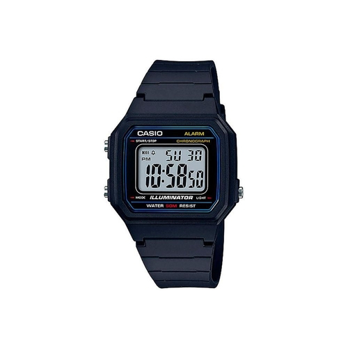 w217 casio