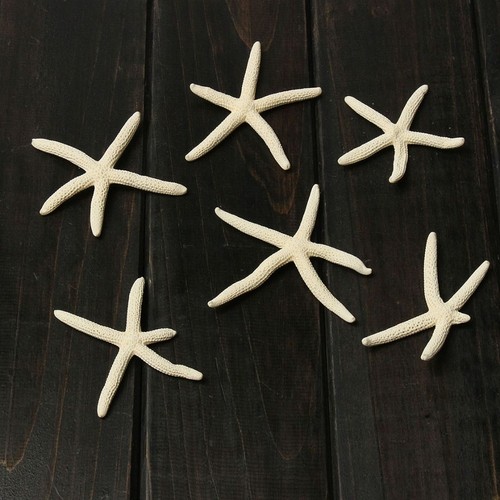 Get Decoracoes do mar para casa HD