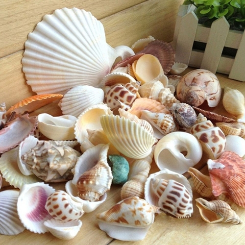 Get Decoracao com conchas do mar Free