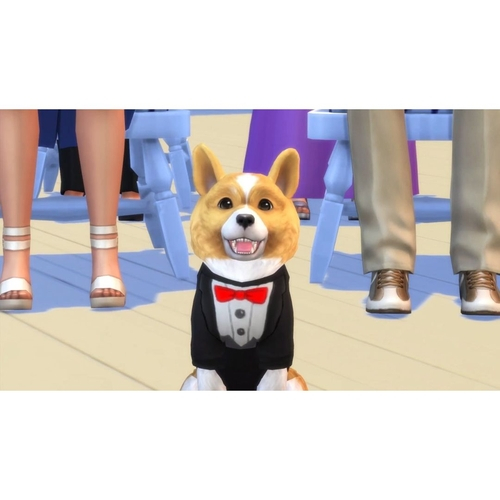 Jogo The Sims 4 + Gatos e Cães Bundle - PS4 em Promoção na Americanas