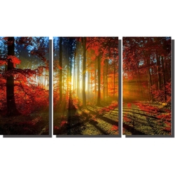 Quadro Decorativo Floresta Laranjada 3 Peças Para Sala é boa?