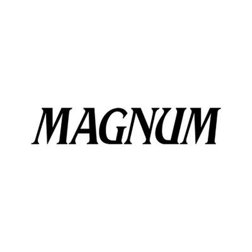 Relógio Masculino Magnum MA32934G