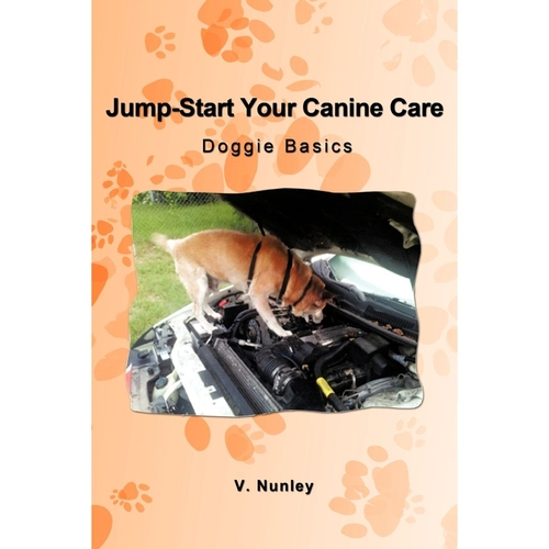 Jump Start Your Canine Care Nas Americanas Jump Start Your Canine Care Nas Americanas