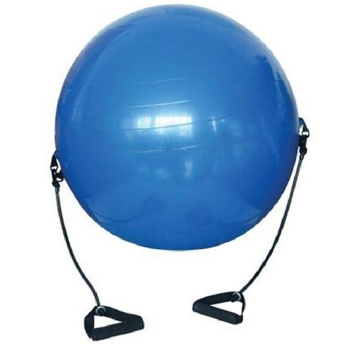 Qual o preço do(a)Bola Suiça Pilates Yoga Puxador Corda Wct Fitness 4007 Bola Suiça Pilates Yoga Puxador Corda Wct Fitness 4007