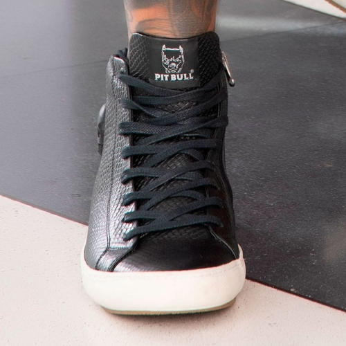 tenis bull terrier masculino cano alto
