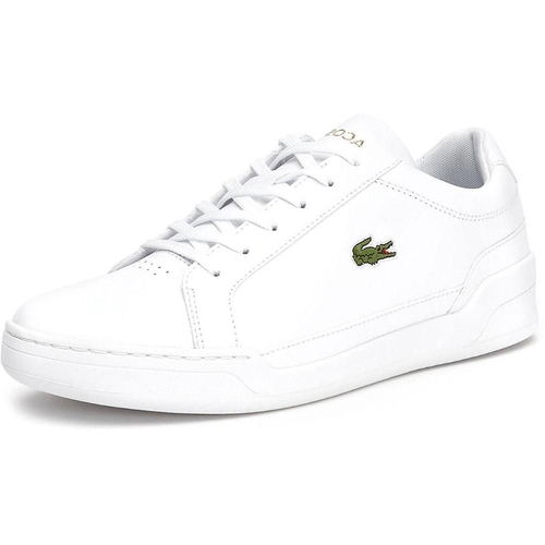 tenis casual lacoste