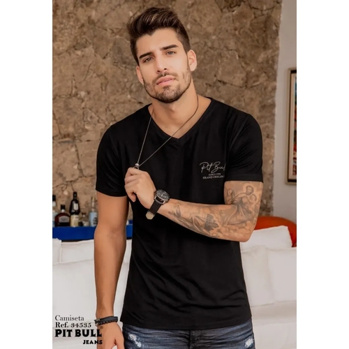 camisetas masculino gola v