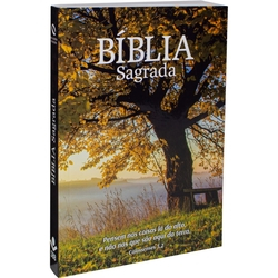Bíblia Sagrada é boa?