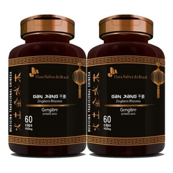 Gengibre Extrato Seco 450mg 2 X 60 Cápsulas Flora Nativa é boa?