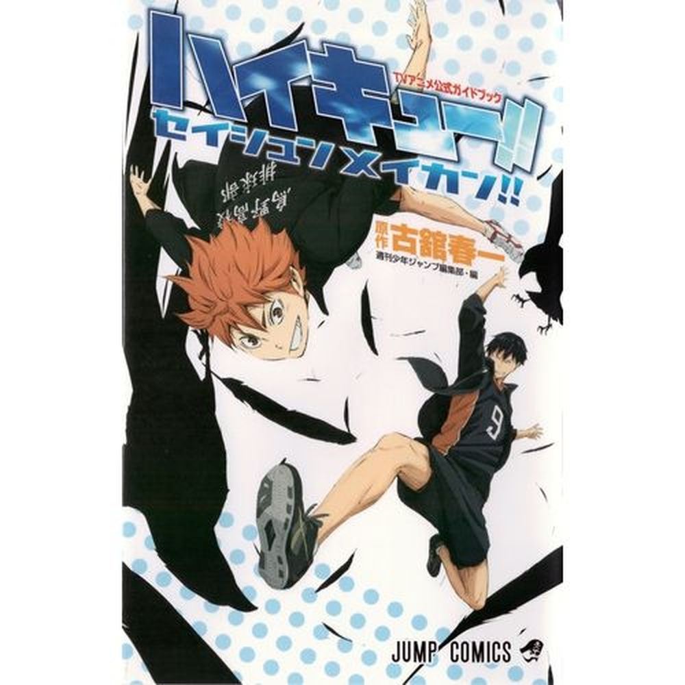 Haikyuu Manga Guia De Personagens Japonês Com Brinde