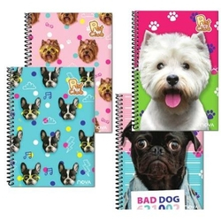 Caderno universitário Pet Club 96fls é boa?
