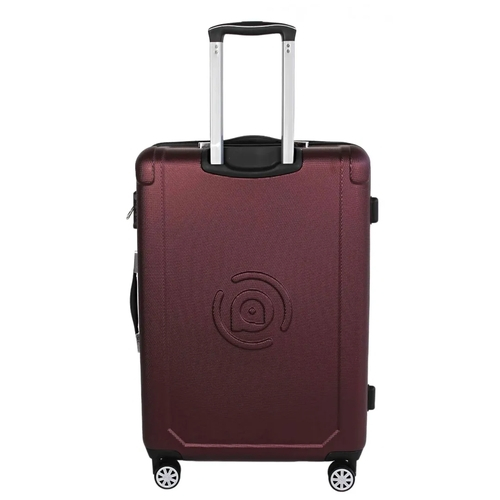 pioneer ally luggage