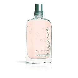 Menor preço em Flor de Cerejeira Eau de Toilette L'occitane en Provence - Perfume Feminino 75ml
