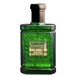 Handsome Paris Elysees Eau de Toilette - Perfume Masculino 100ml é boa?