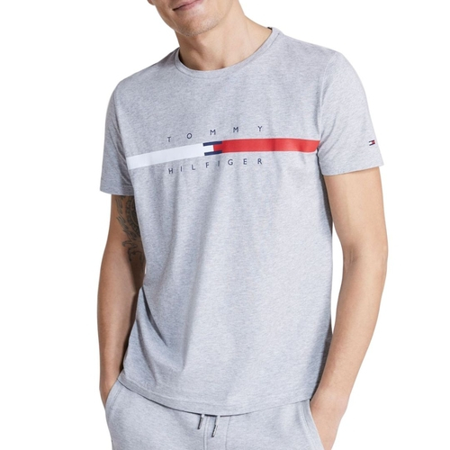 camiseta tommy hilfiger americanas