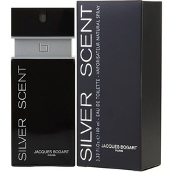 Perfume Masculino Silvér Scent EAU de Toilette 100 ml é boa?