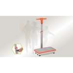Plataforma Vibratória Energym Express Upfitness
