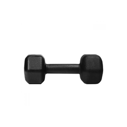 Halter Sextavado - 8 Kg Menor preço em Halter Sextavado - 8 Kg