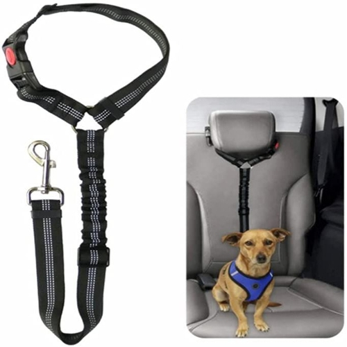 Dog deals car belt