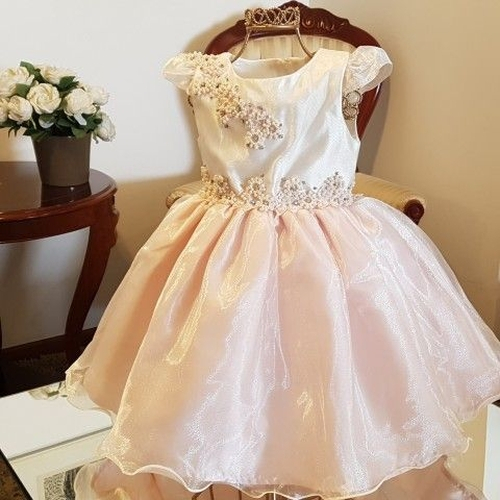 organza vestidos festa