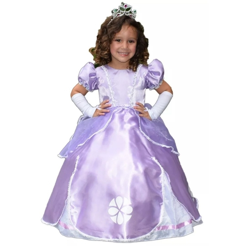 Vestido Princesa Sofia Luxo  Vestido infantil festa, Vestido princesinha  sofia, Vestido princesa