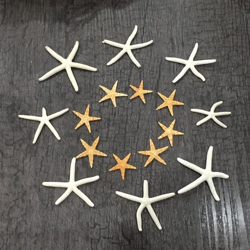 Get Casamento de praia decoracoes diy Free