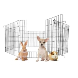 Cercado para Pet Kit com Portão Cães Canil Cachorro 8/62 Menor preço em Cercado para Pet Kit com Portão Cães Canil Cachorro 8/62
