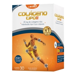 Lavitan Colageno Tipo Ii 40mg 30 Caps Menor preço em Lavitan Colageno Tipo Ii 40mg 30 Caps