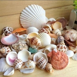Get Sob as decoracoes de viveiro mar For Free